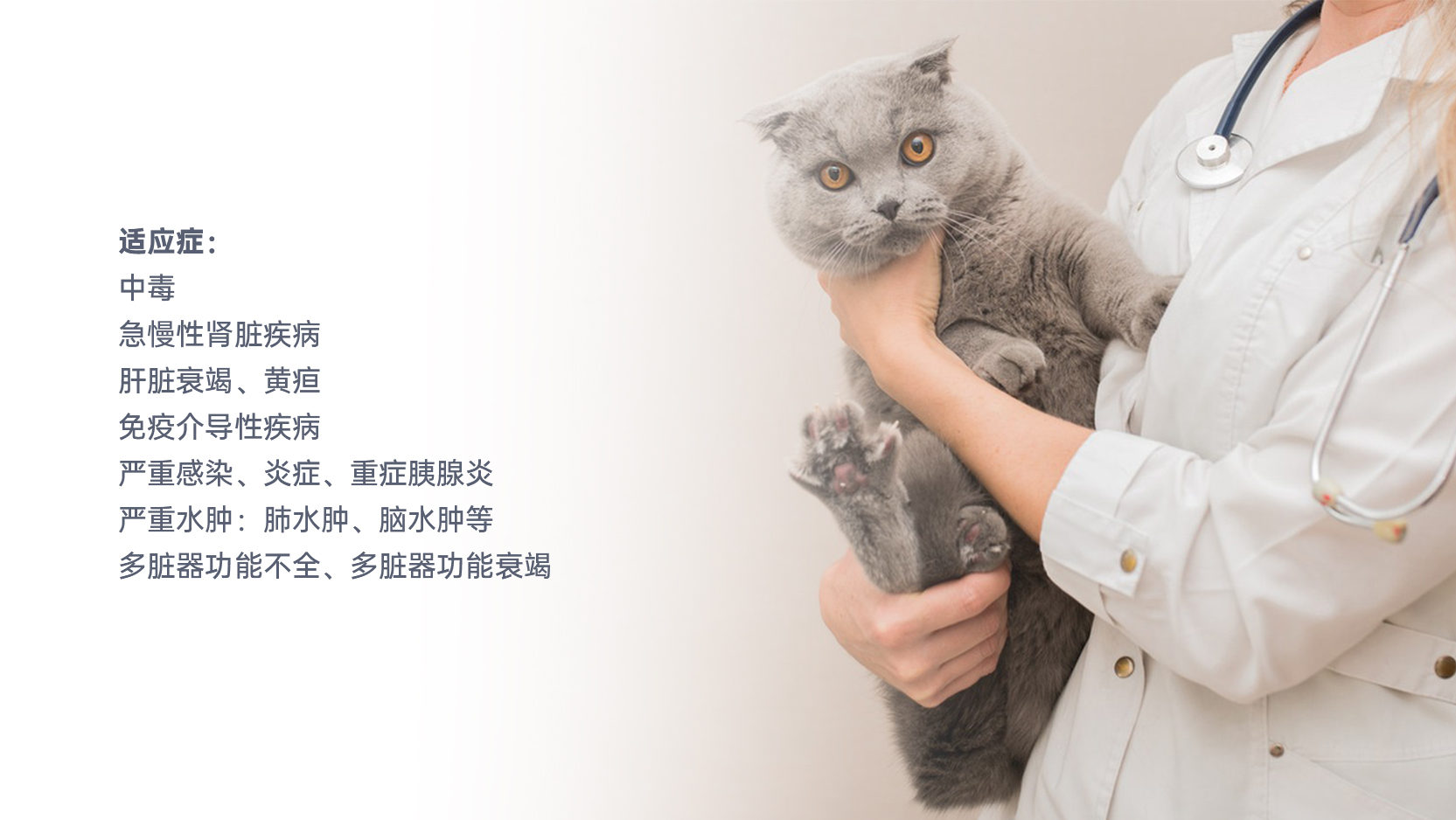 ŵ88(й½)޹˾ - ٷվ