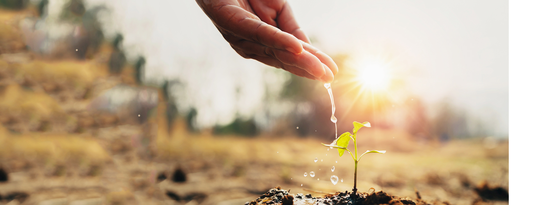 ŵ88(й½)޹˾ - ٷվ