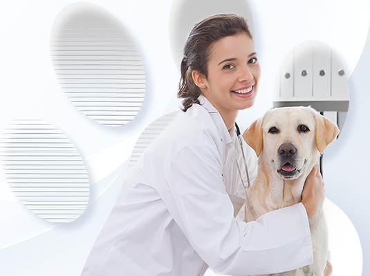 ŵ88(й½)޹˾ - ٷվ